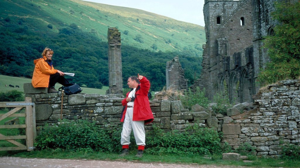 Powys showing heritage elements as well as a couple