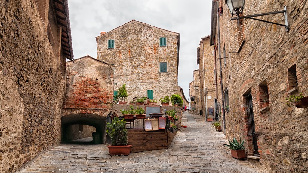 Castiglione della Pescaia que incluye elementos del patrimonio, un parque o plaza y una pequeña ciudad o pueblo