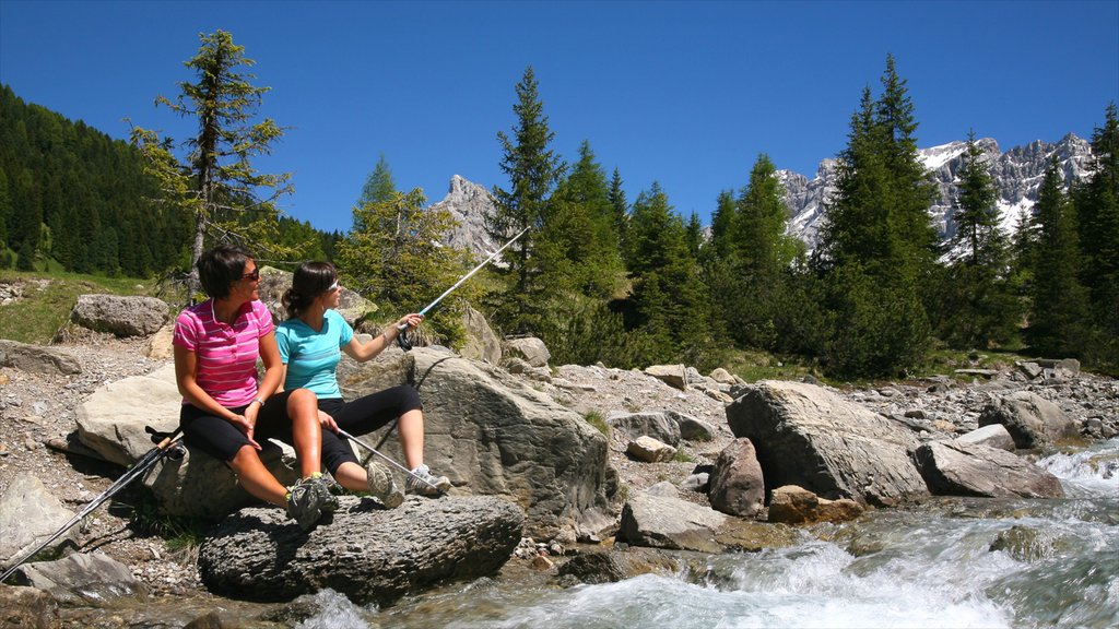 Fassa Valley featuring tranquil scenes, hiking or walking and rapids