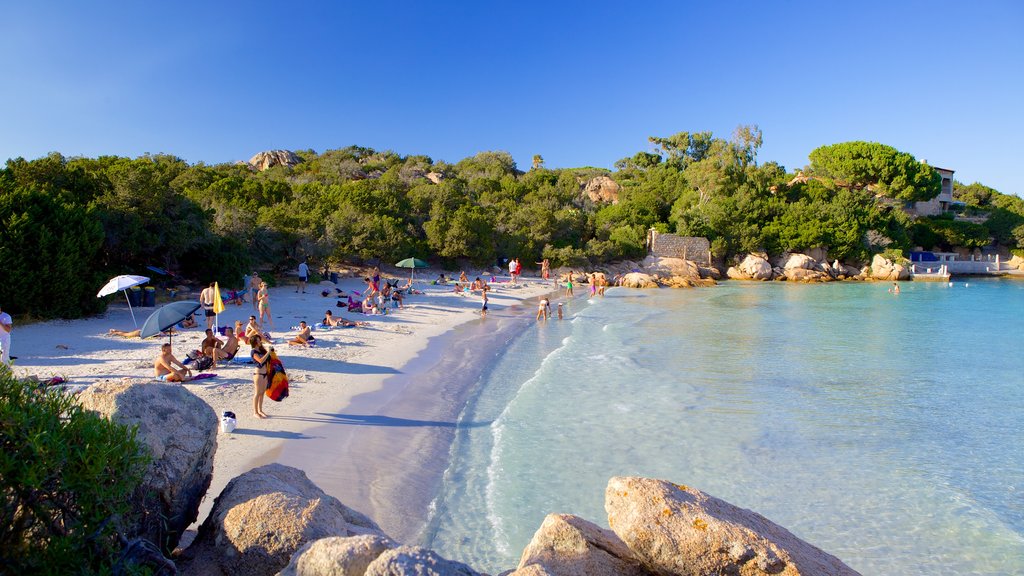 Praia de Capriccioli mostrando uma praia de areia assim como um grande grupo de pessoas