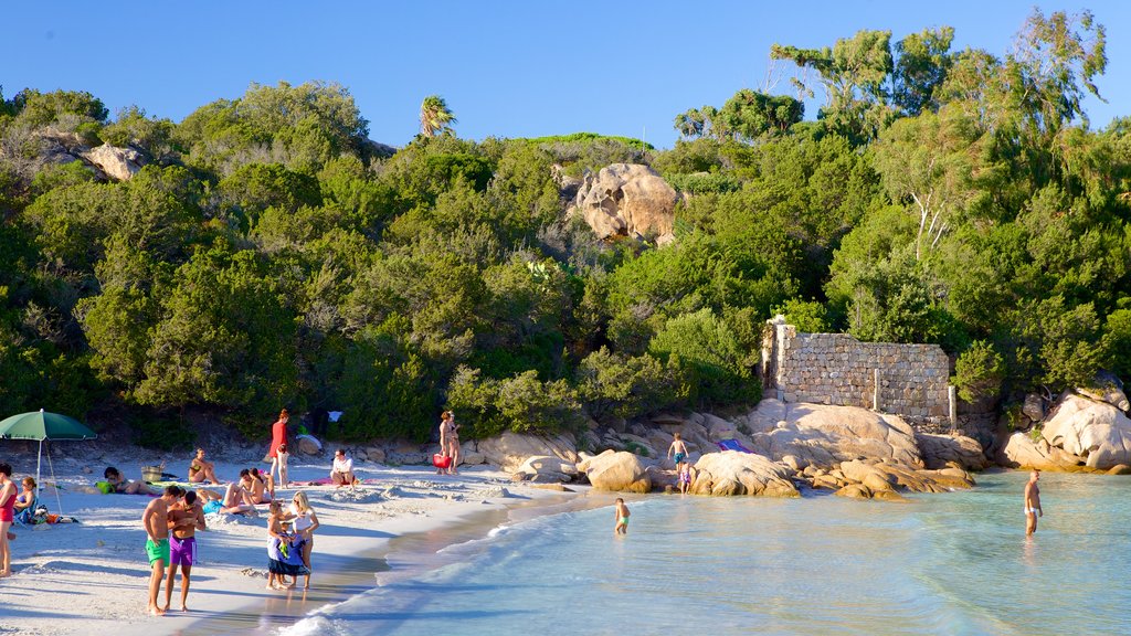 Capriccioli Beach featuring a sandy beach as well as a small group of people