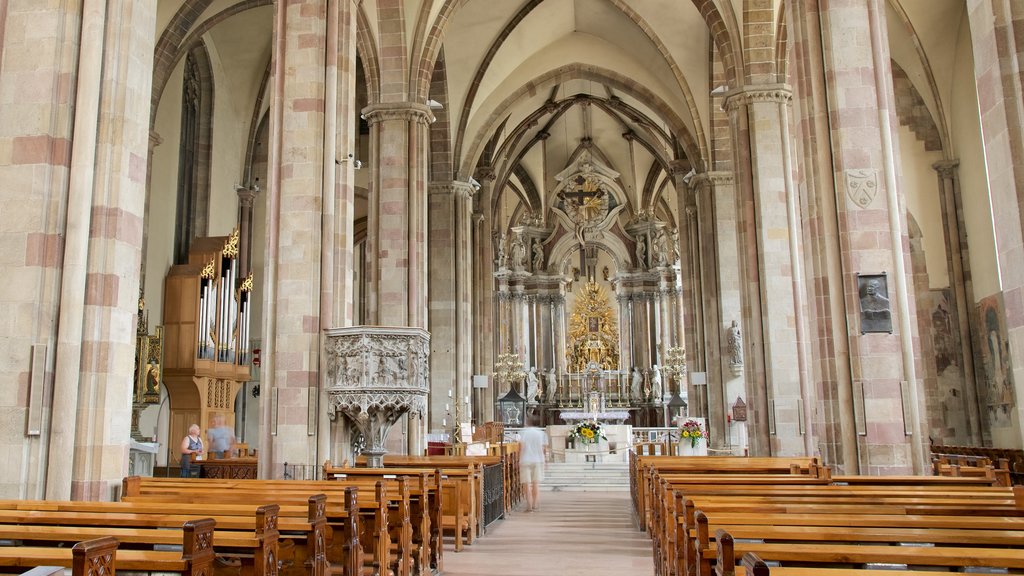 Dom Maria Himmelfahrt das einen historische Architektur, Kirche oder Kathedrale und Innenansichten