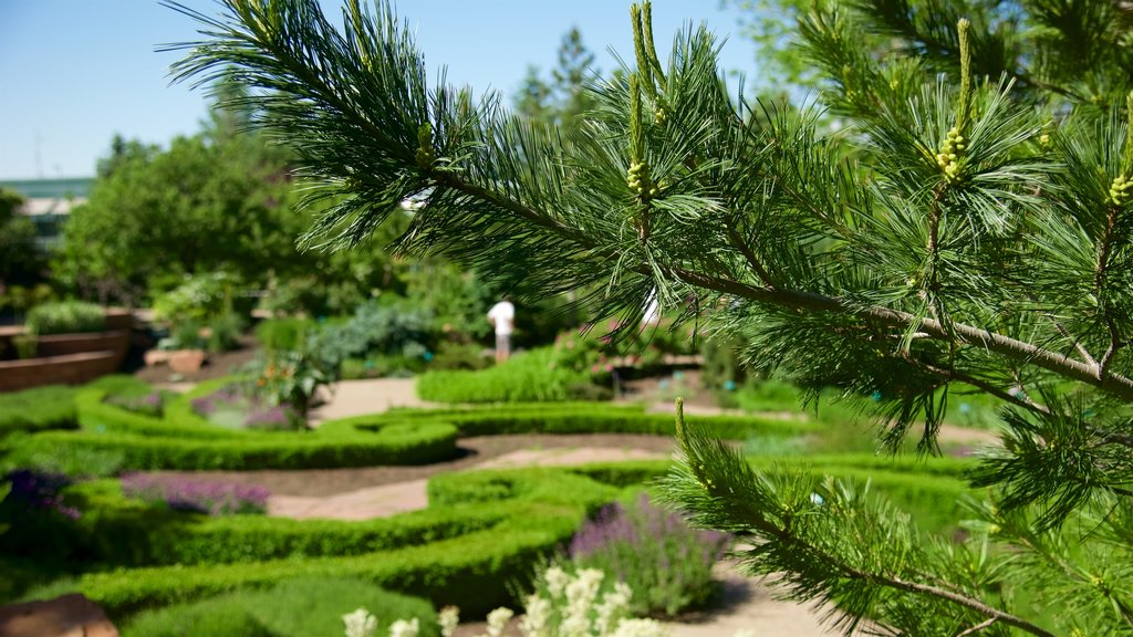 Red Butte Garden and Arboretum which includes a park