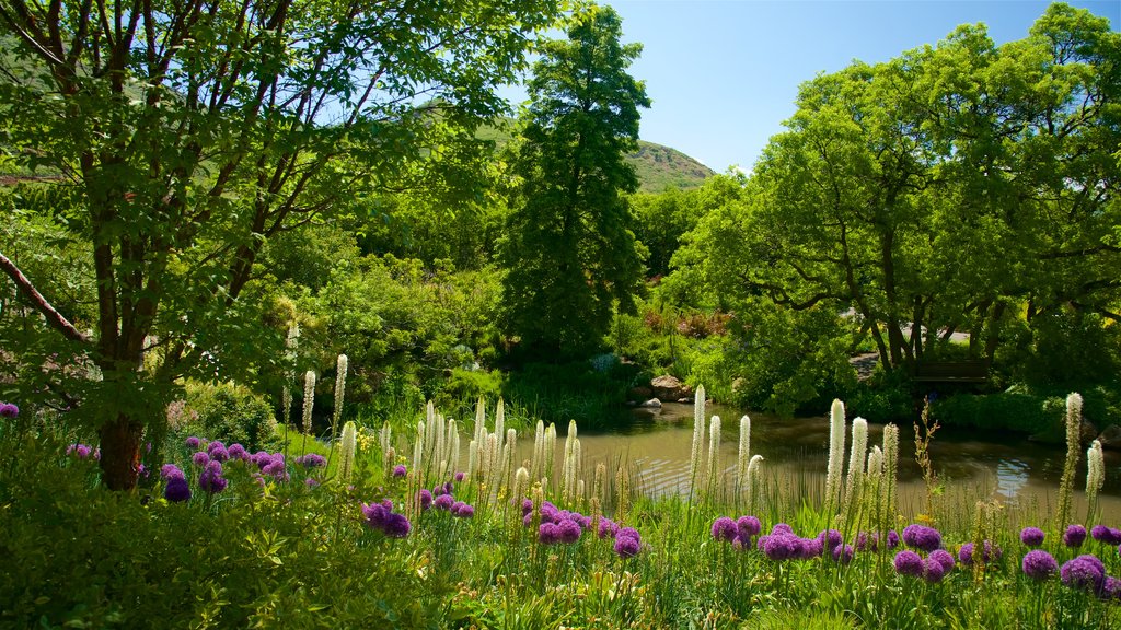 Red Butte Garden and Arboreteum showing flowers, a river or creek and a park