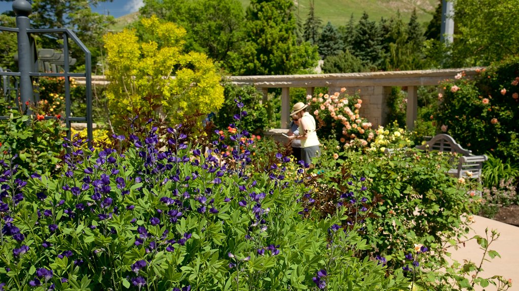 Red Butte Garden and Arboretum caracterizando flores e um jardim