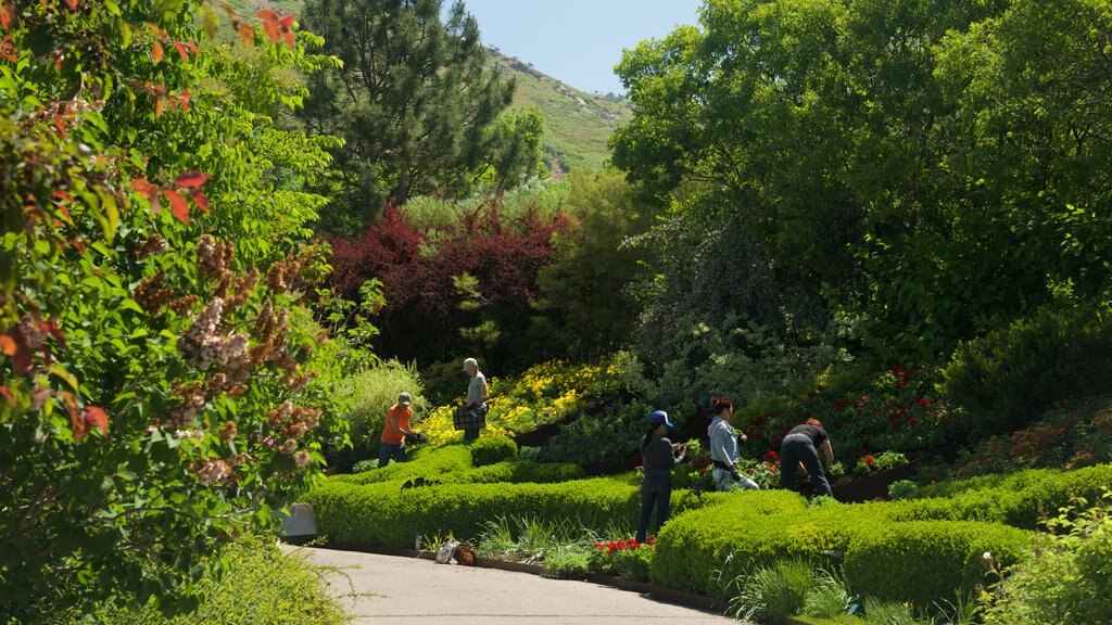 Jardín y arboretum Red Butte que incluye un parque y también un pequeño grupo de personas