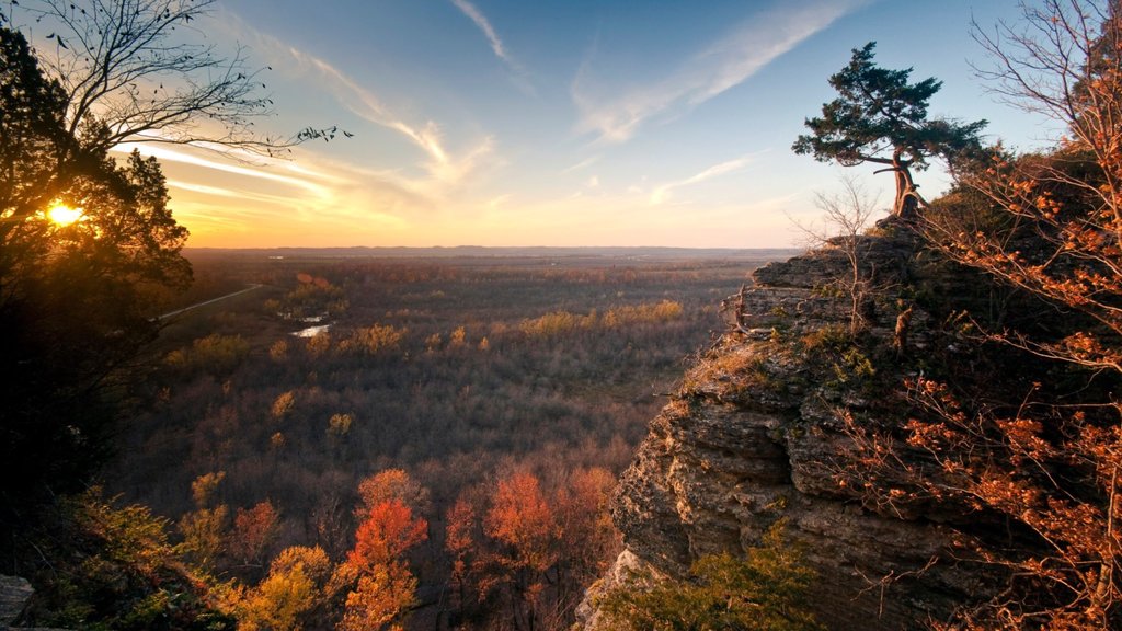 Illinois Meridional mostrando imágenes de bosques, un atardecer y vista panorámica