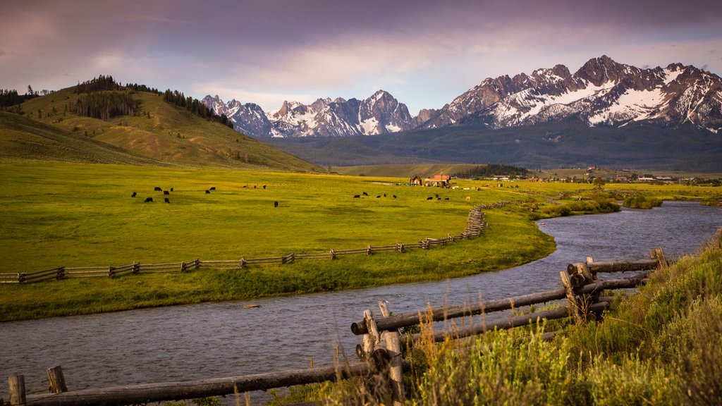 Sun Valley showing farmland, a river or creek and tranquil scenes