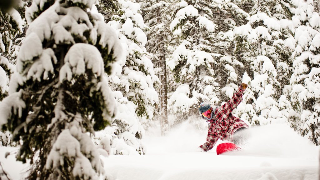 Sun Valley showing snow and snowboarding as well as an individual male