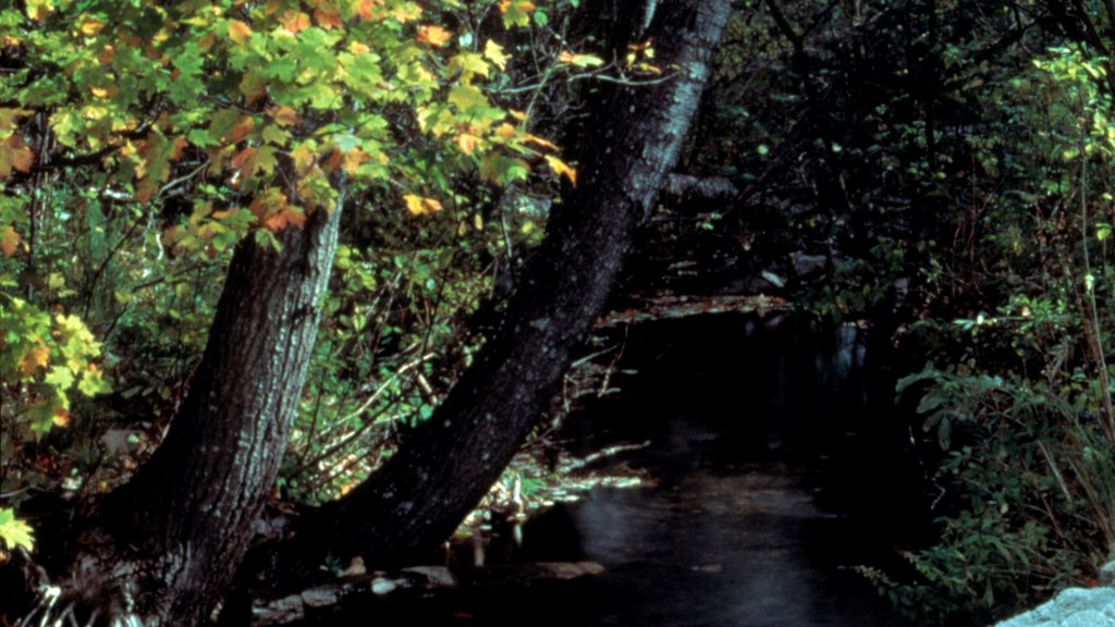 Grayling showing wetlands