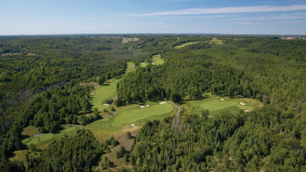 Grayling ofreciendo golf