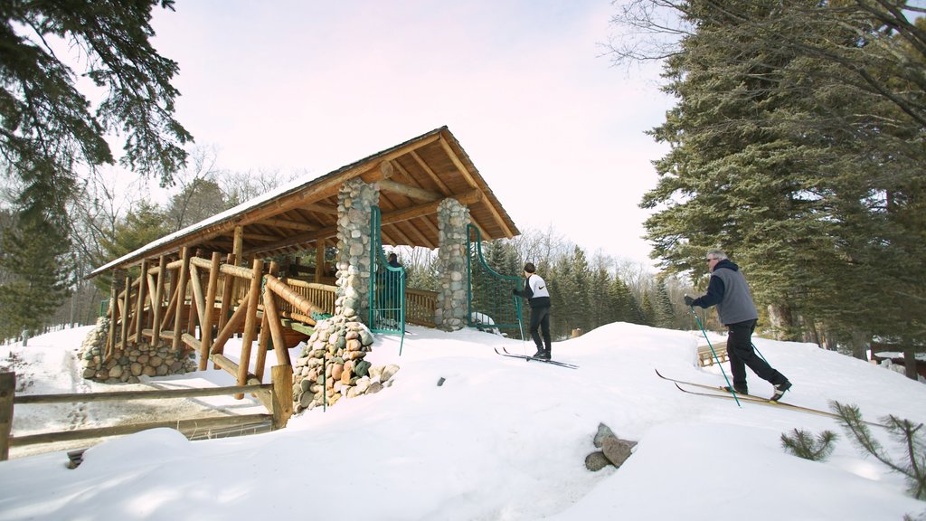 Grayling featuring snow and cross country skiing as well as a small group of people