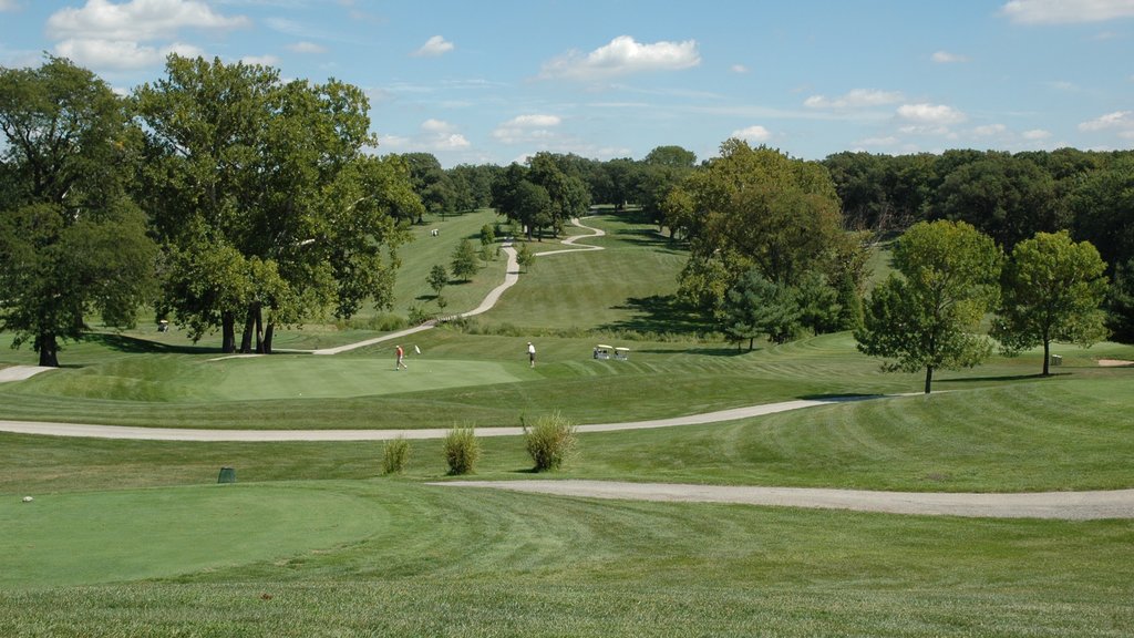 Decatur mostrando golfe