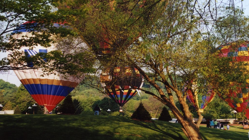 Lexington ofreciendo paseos en globo y un parque