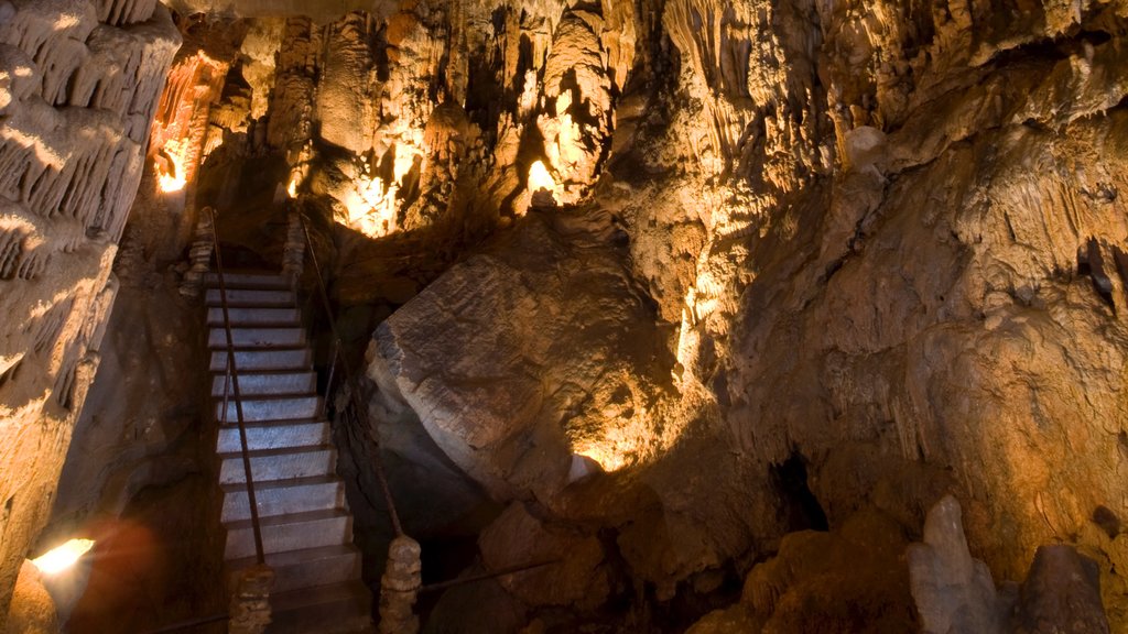 Tri-Cities mostrando espeleología