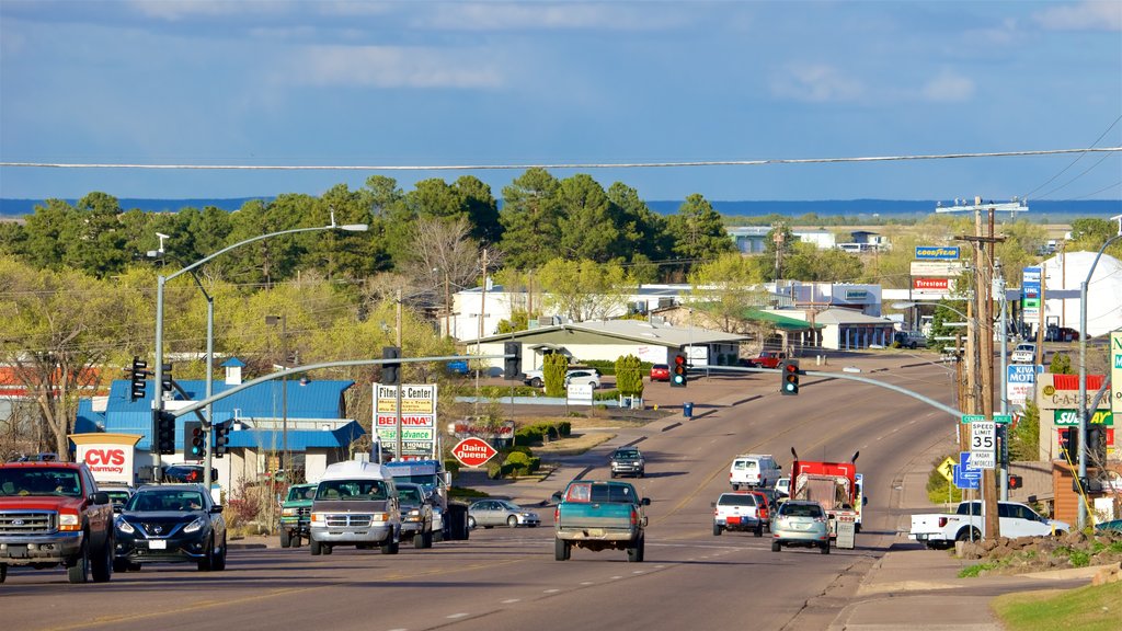 Show Low showing a coastal town