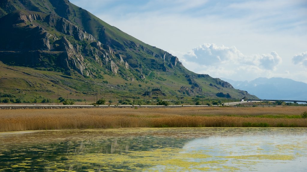 Parc d\'état de Great Salt Lake qui includes paysages paisibles, un lac ou un point d’eau et paysages