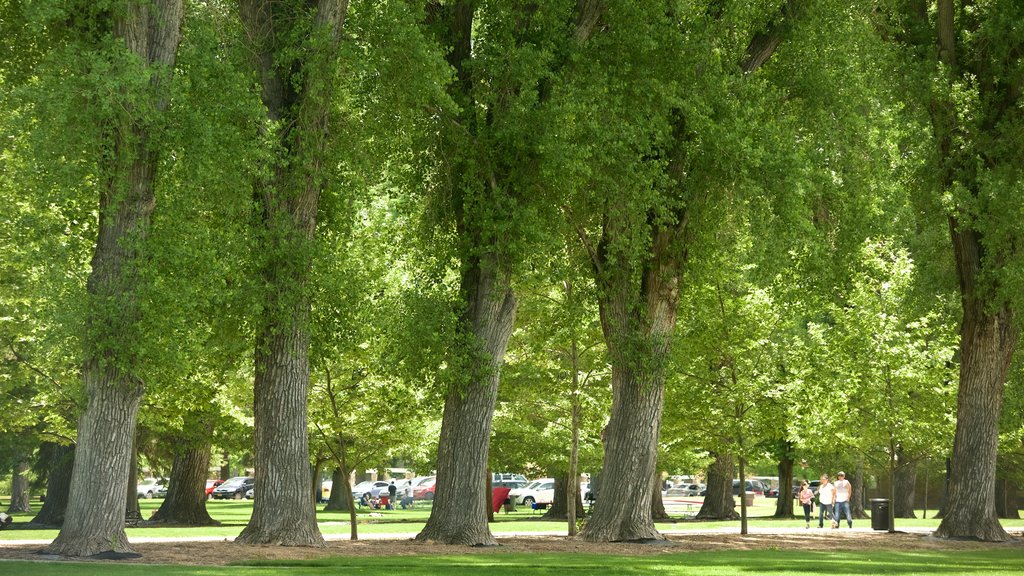 Liberty Park which includes a garden