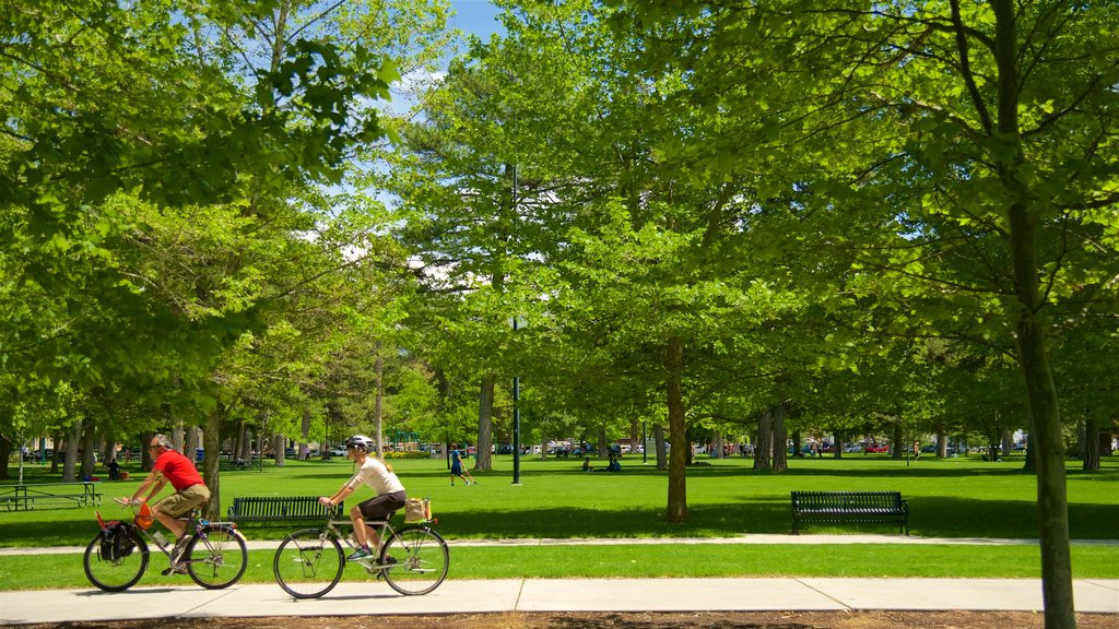 Liberty Park showing cycling, a garden and forests