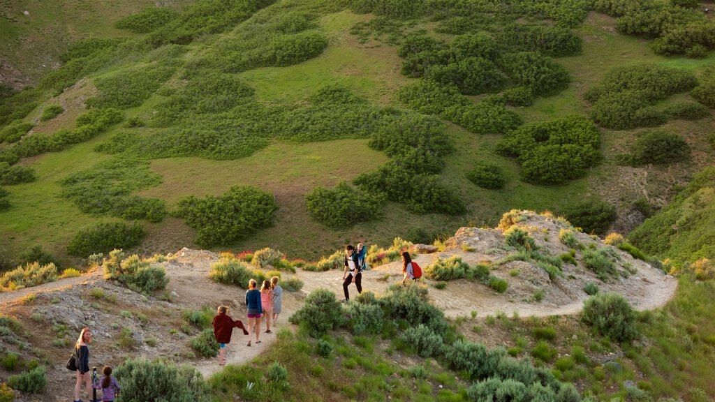 Parque natural Ensign Peak ofreciendo senderismo o caminata