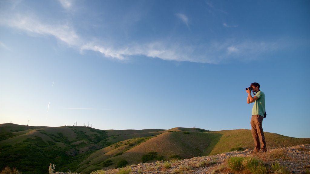 Ensign Peak Nature Park showing tranquil scenes as well as an individual male