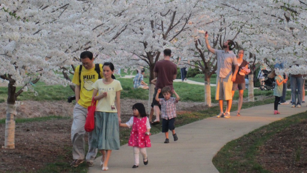 Champaign which includes a garden as well as a small group of people