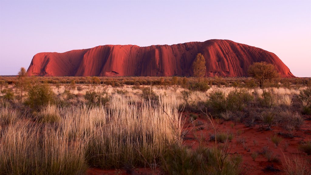 Australië bevat vredige uitzichten en woestijnen