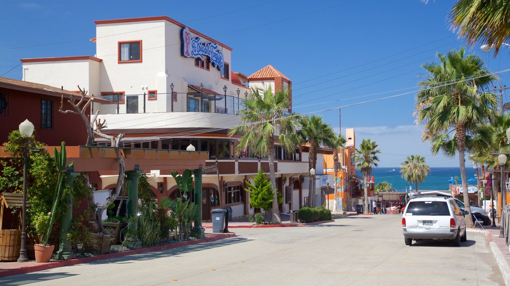 Puerto Nuevo showing tropical scenes and a coastal town