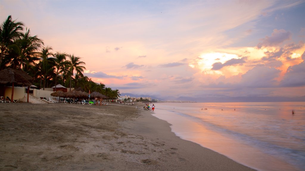 Playa Nuevo Vallarta que incluye escenas tropicales, vistas generales de la costa y una puesta de sol