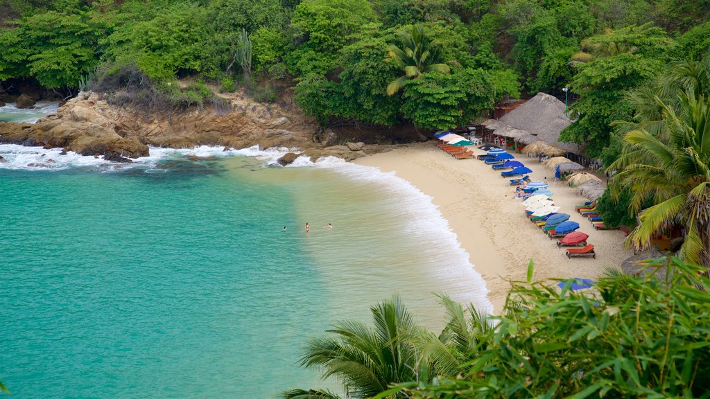 Praia de Carrizalillo que inclui paisagens litorâneas, litoral acidentado e uma praia de areia