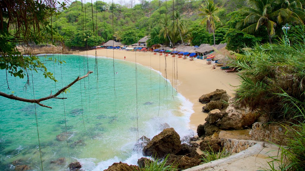 Playa de Carrizalillo que incluye escenas tropicales, una playa de arena y costa escarpada