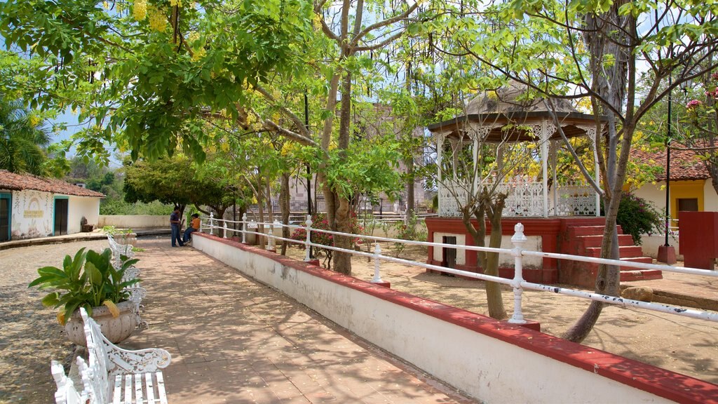 Copala ofreciendo un parque o plaza y una pequeña ciudad o pueblo