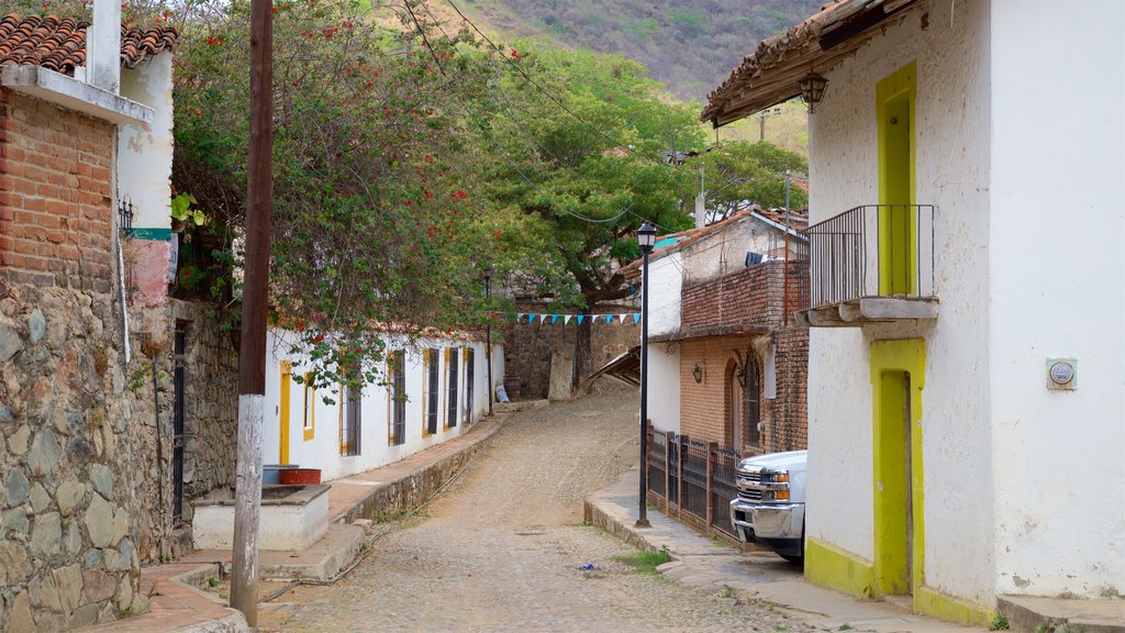 Copala mostrando uma cidade pequena ou vila