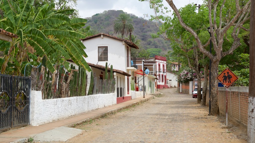 Copala featuring a small town or village