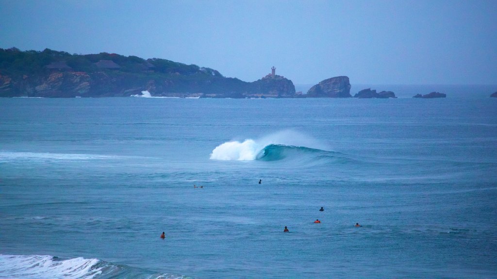 Zicatela Beach showing surf and general coastal views