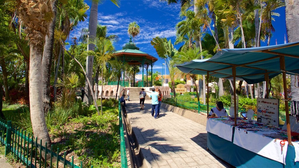 Immaculate Conception Cathedral featuring a square or plaza