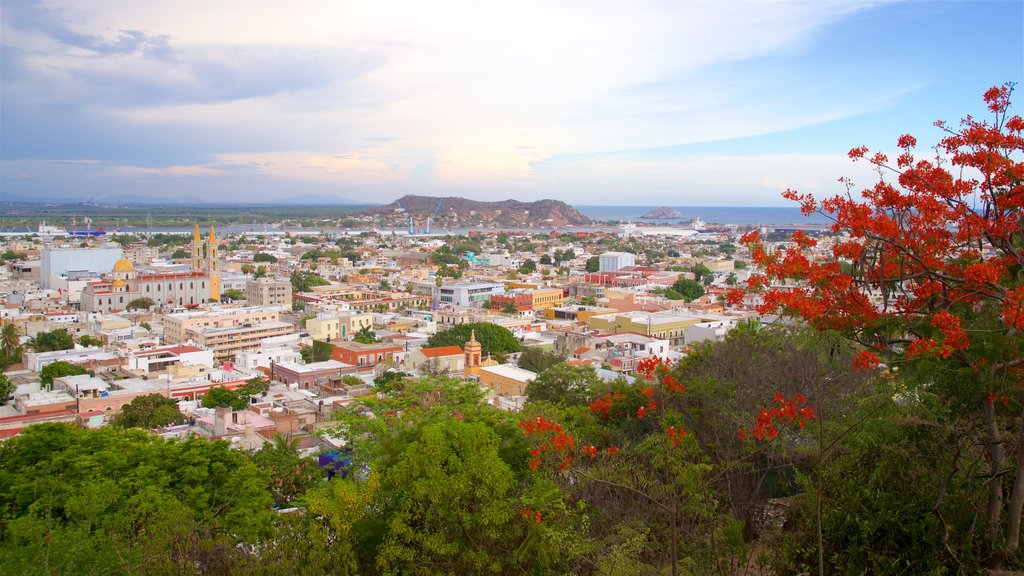 Immaculate Conception Cathedral showing flowers, landscape views and a city