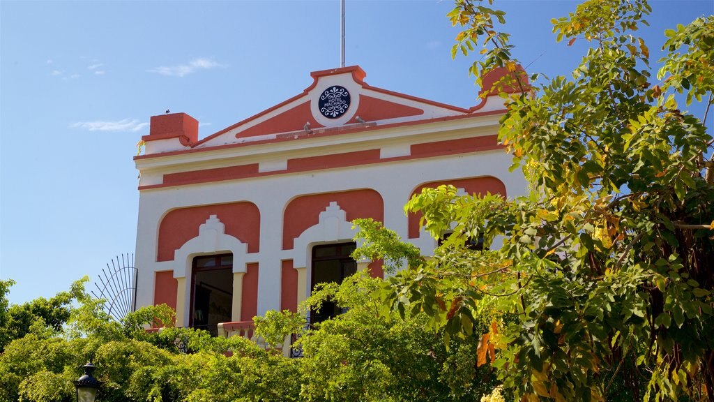 Plaza Machado showing heritage elements