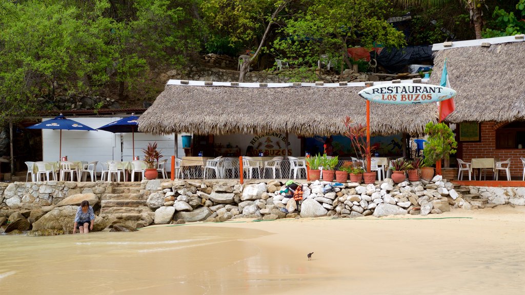 Puerto Angelito Strand som omfatter tropiske områder, en sandstrand og udsigt over kystområde