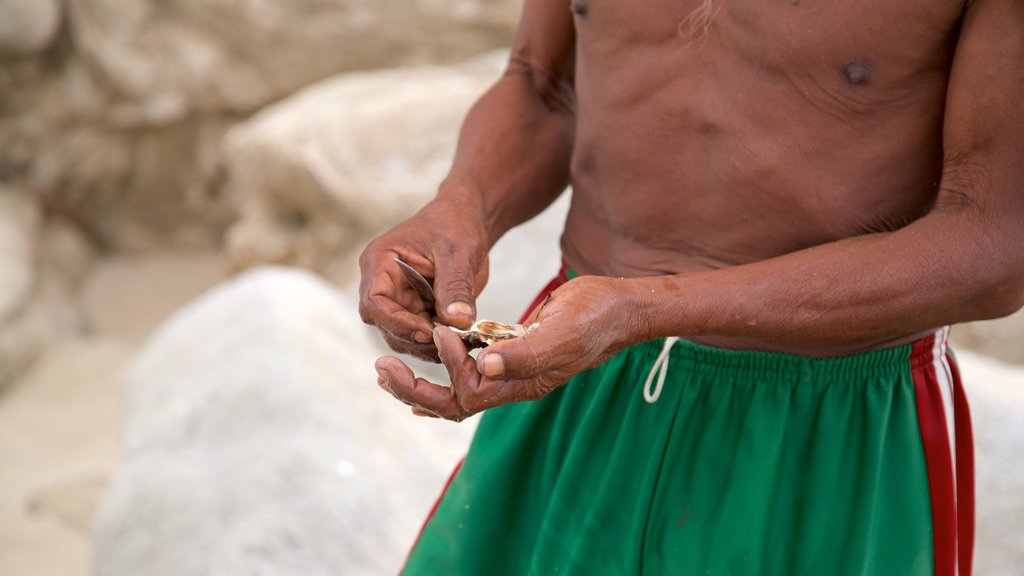 Playa Bacocho inclusief algemene kustgezichten en ook een man