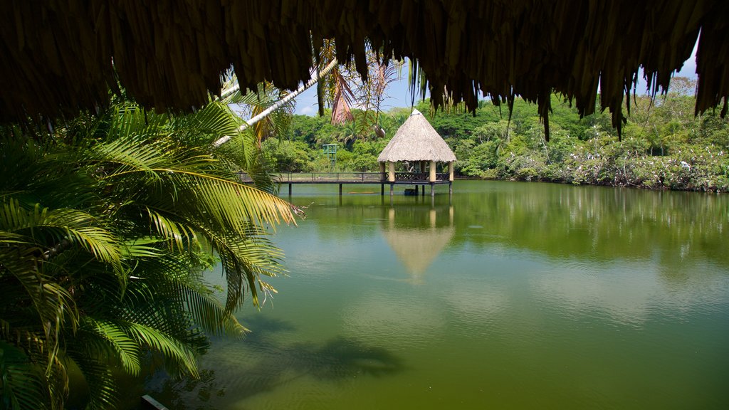 Yumka featuring a river or creek