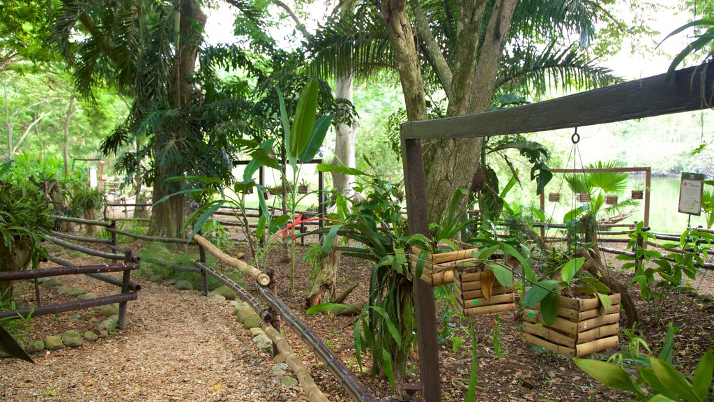 Villahermosa inclusief een tuin