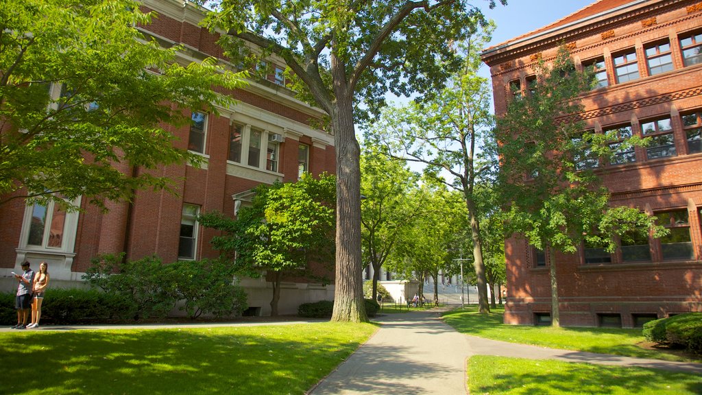 Universidad de Harvard mostrando arquitectura patrimonial