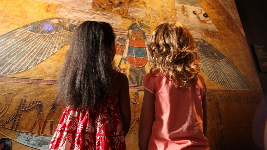 Wetenschappelijk museum inclusief interieur en een monument en ook kinderen