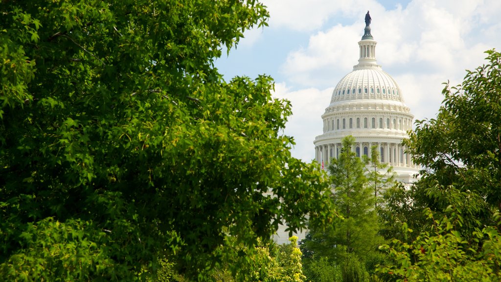 National Mall featuring an administrative building, a garden and a city