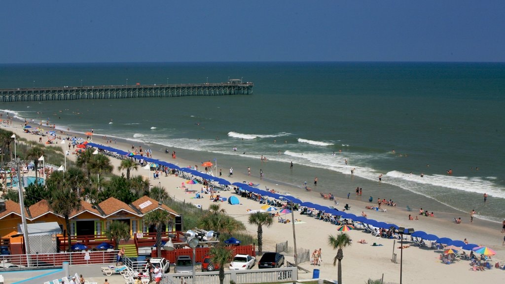 Imagens De Natureza Veja Carolina Do Sul Myrtle Beach Que Inclui Cenas Tropicais Uma Praia De Areia E Um Hotel Luxo