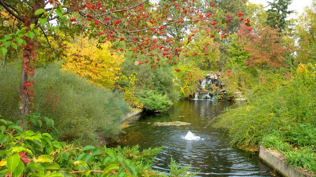 Jardín Botánico de Niagara Parks ofreciendo un estanque, un parque y una fuente