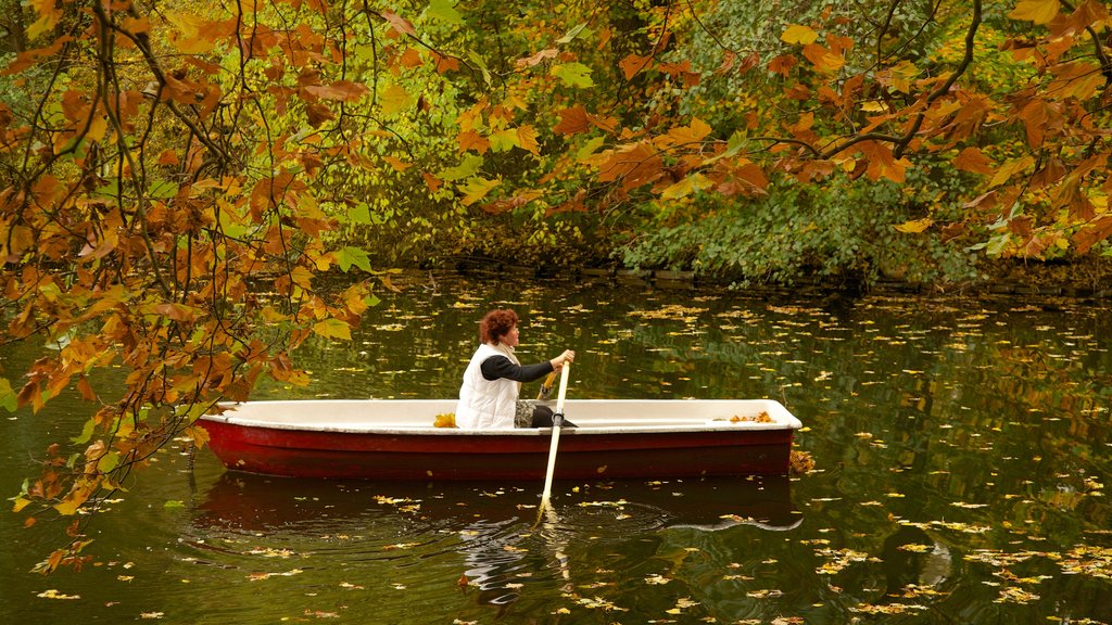 Berlín mostrando colores de otoño, un lago o espejo de agua y kayaks o canoas