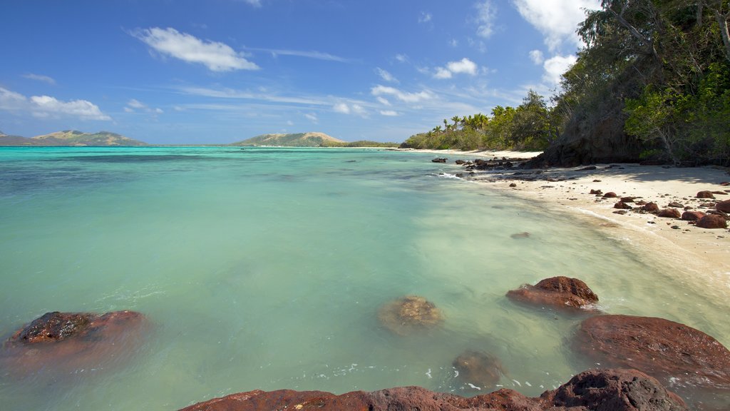 Islas Yasawas mostrando una playa de arena, vistas panorámicas y escenas tropicales