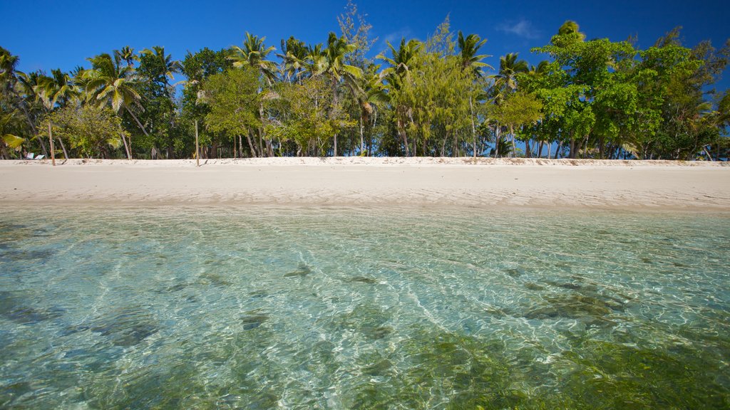 Islas Yasawas mostrando escenas tropicales, una playa y vistas de una isla